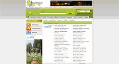 Desktop Screenshot of domina.cz